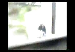 ザフィーラ 女性 シュガール