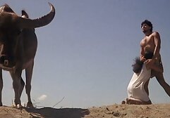 ジリアン-ベイヨール 女性 アダルト fc2