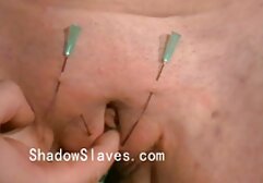 ヴィオラ-ベイリー 女の子 アダルト