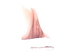 トレイシー-リンゼイ 無料 エロ 動画 女の子 の ため の